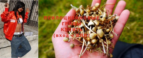 дживик Алзамай
