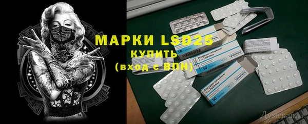 ГАЛЛЮЦИНОГЕННЫЕ ГРИБЫ Алексеевка