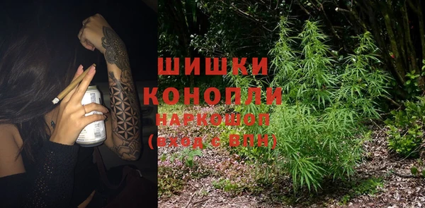 ГАЛЛЮЦИНОГЕННЫЕ ГРИБЫ Алексеевка