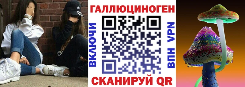 Галлюциногенные грибы Cubensis  продажа наркотиков  Бабаево 